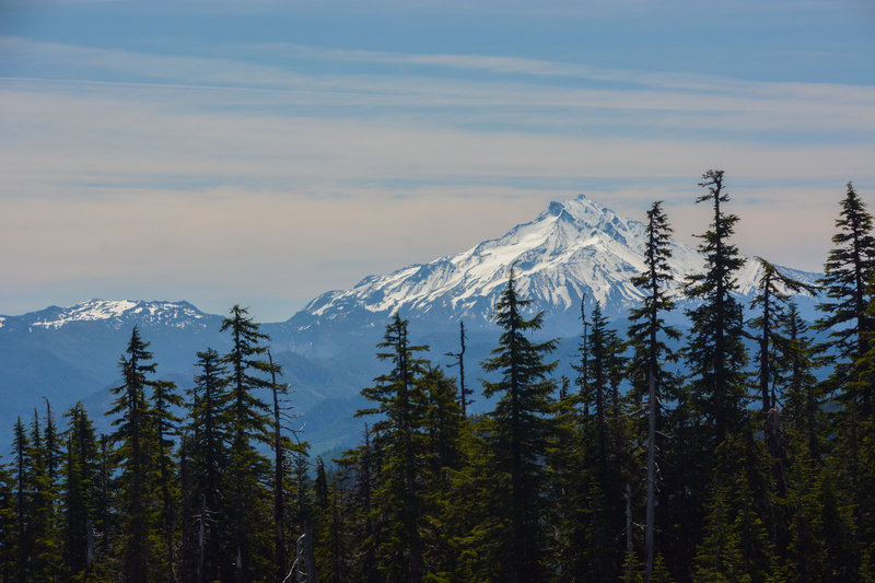 Mount Jefferson from the Mount Beachie Trail