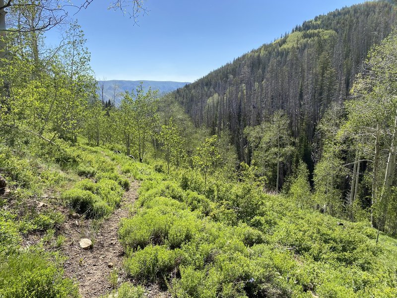 Horse Canyon Trail