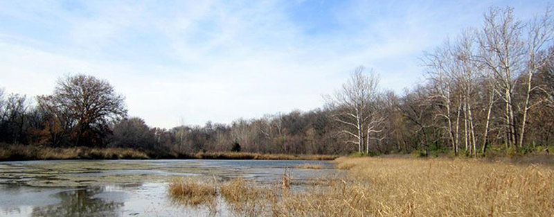 View of primary wetland cell looking West