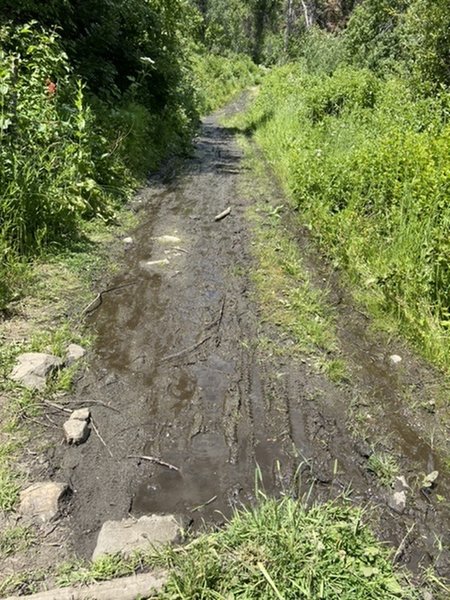 Encountered a pretty muddy section halfway up the trail in mid July