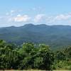 View from the top of Buck Bald July 14 2020