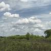 Late spring sun and clouds on the Marsh Hawk Trail.