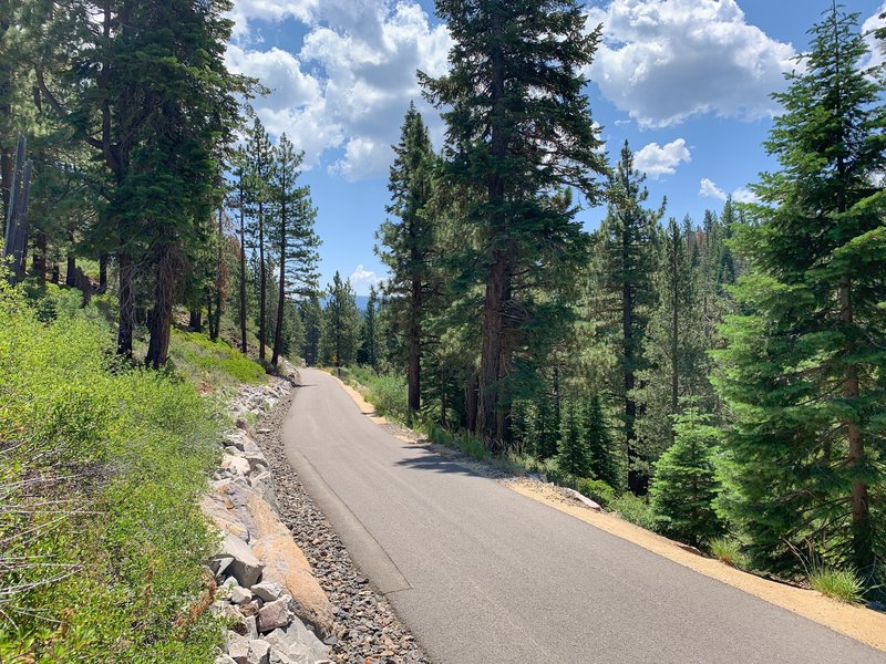 Trout Creek Trail Hiking Trail, Truckee, California