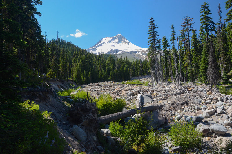 Mount Hood over the Newton Creek boulder field. The creek is steadily eating away at the bank/trail.