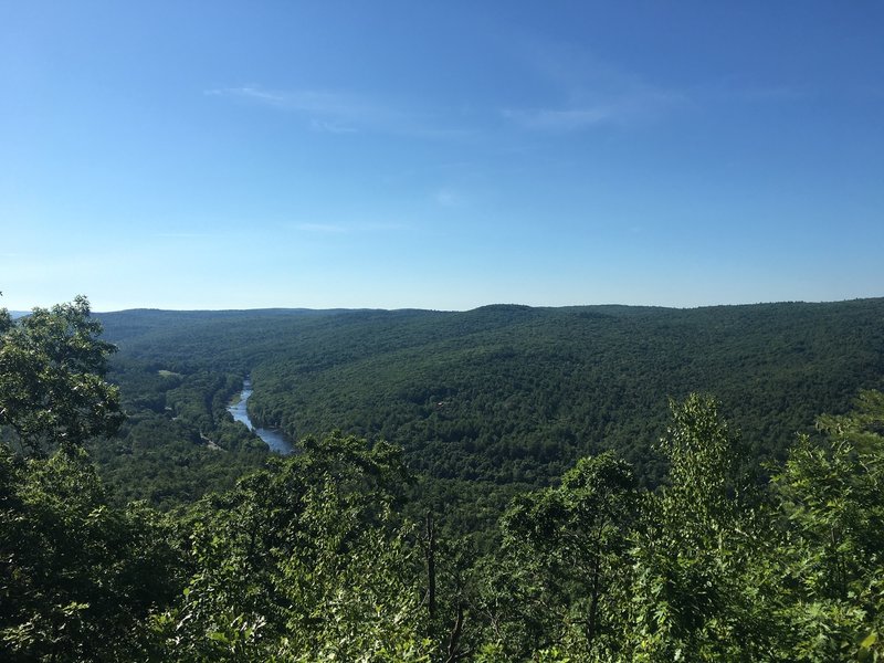 Viewpoint from white blazed trail overlooking Miller River