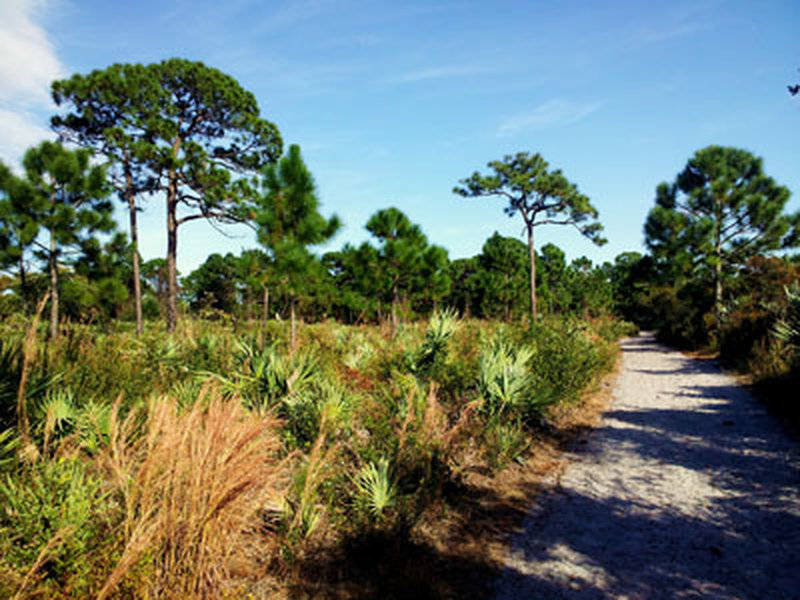 EastWest Connector Hiking Trail, Tedder, Florida