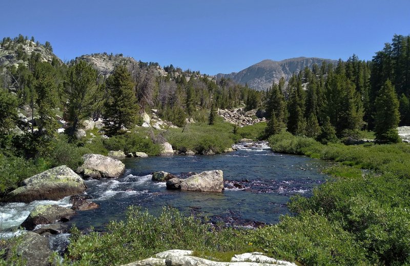 Pole Creek at the start/end of Cook Lake Loop.