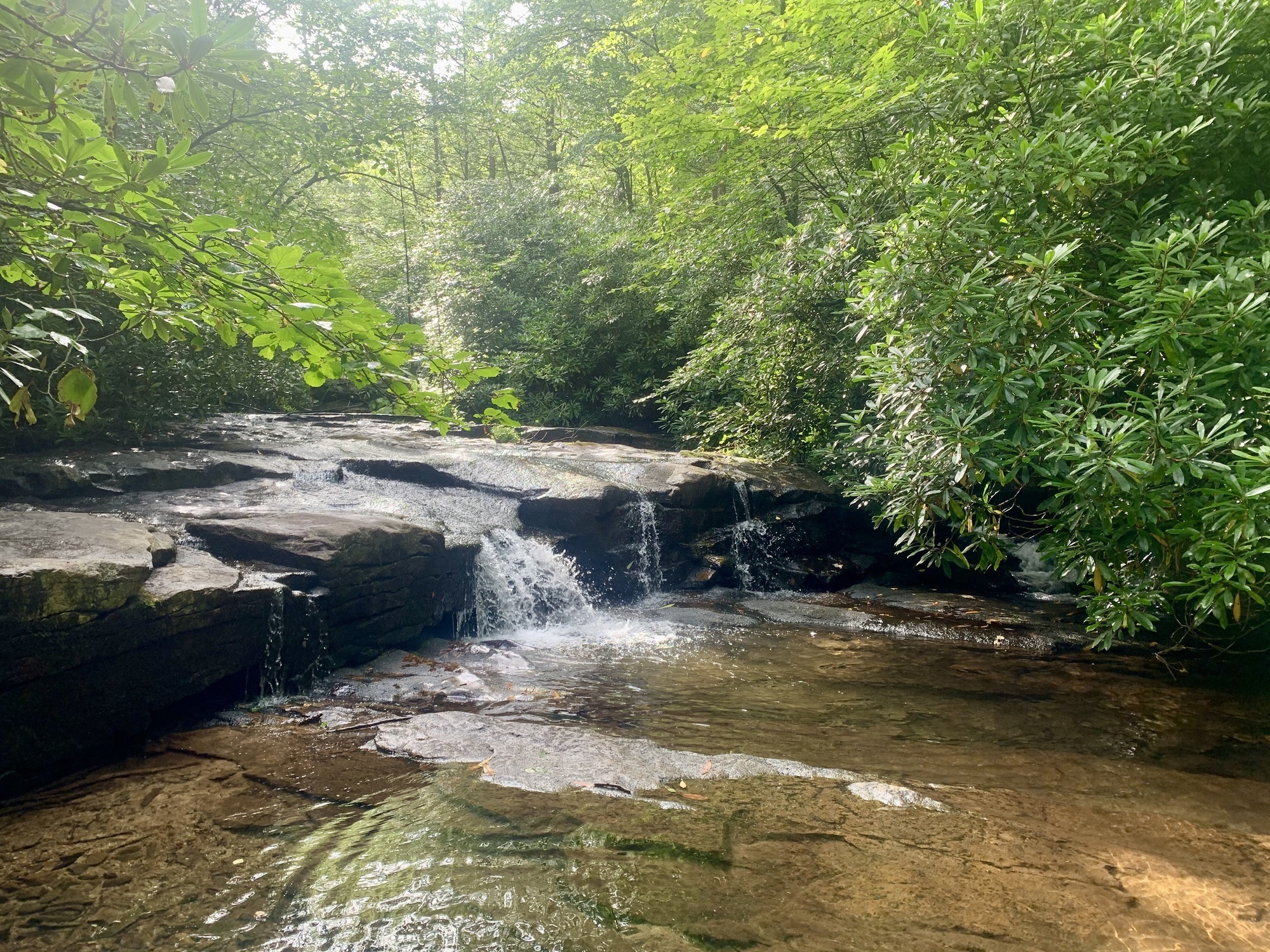 Little creek accesses are common along the Sand Spring Trail, with ...