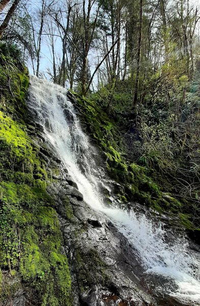 Bridge Creek Waterfall in early spring sunshine.