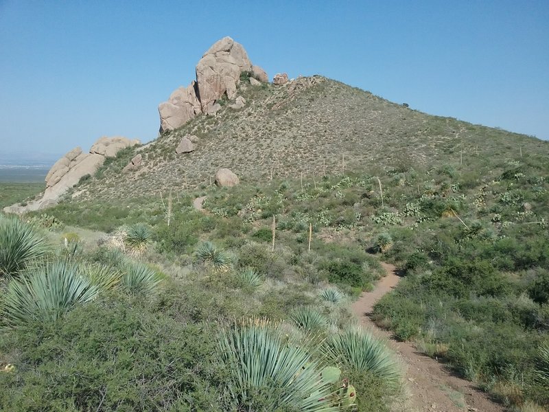 Looking west from the trail.