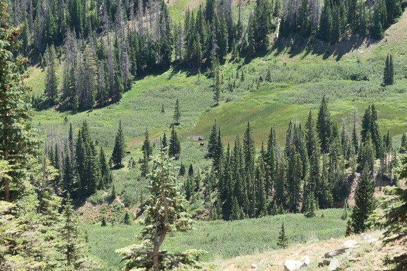 View of Moose Down in the American Lakes Valley after meeting up w/ the American Lakes Trail.