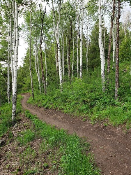 Upper Ute Trail