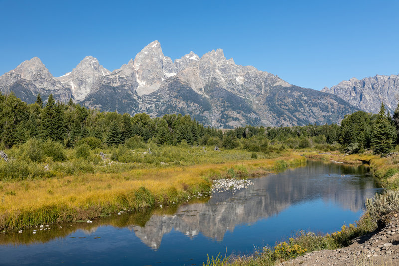 Schwabacher Landing with the Snake River in front of the Teton Range.