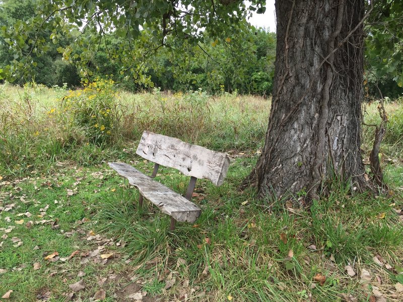 The big bench off the Meadowlark Prairie Trail.