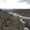 Great views of Denali and the Savage River!