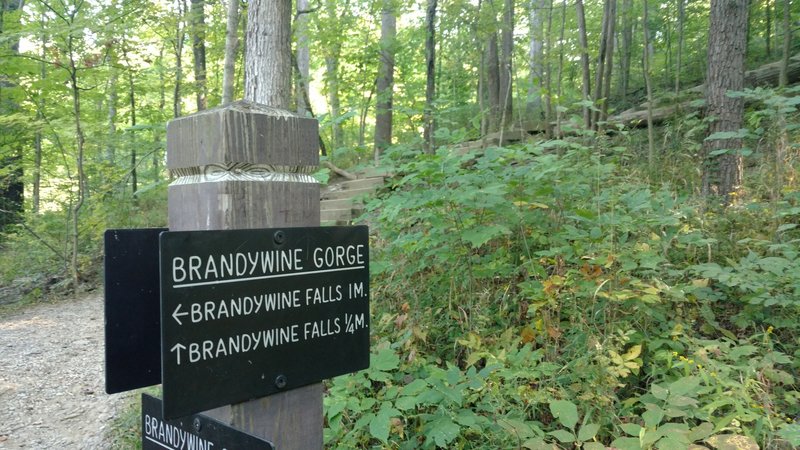 End of Stanford Trail and beginning of Brandywine Gorge Trail.