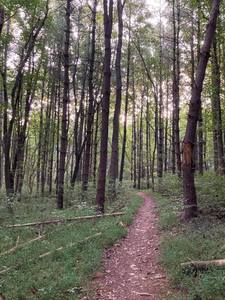 Stone Mill 50 Mile Running Trail Montgomery Village Maryland