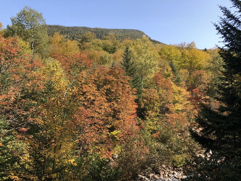 A partial view of North Twin Mountain from the Gale River Trail