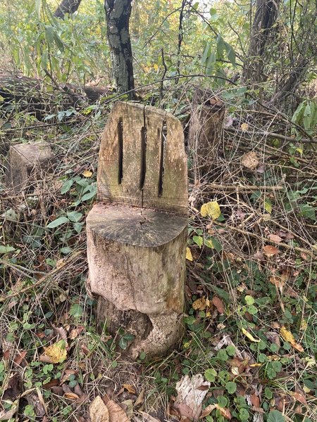 Sweet little chair made from a stump.