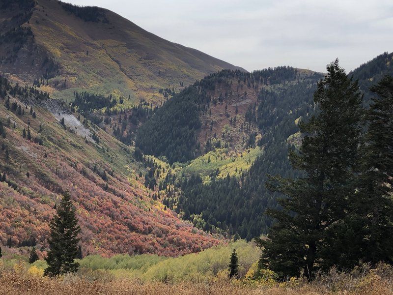 Slate Canyon Trail #061 Hiking Trail, Provo, Utah