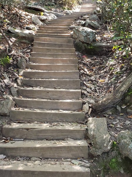 Stairway to the top of Crowder Mountain