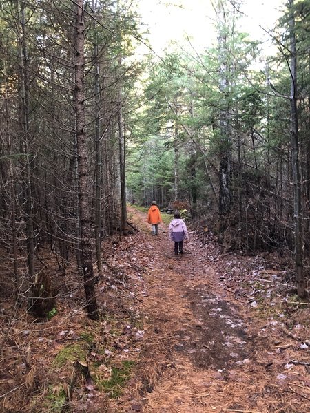 Oliverian Brook Trail