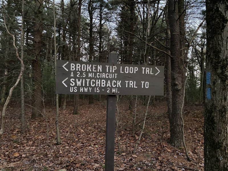 Broken Tip Loop is a great circuit trail on top of the mountain.