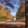 University of Arkansas in Autumn.