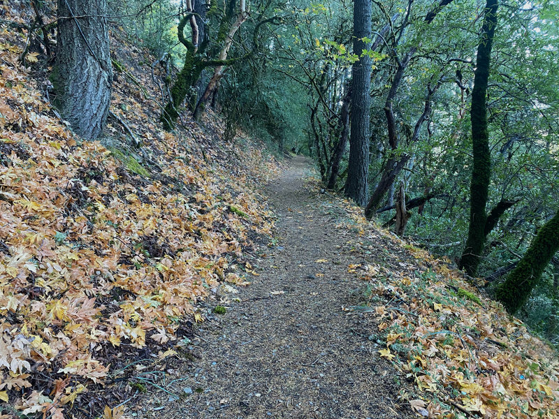 The trail runs along the hillside.