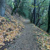 The trail runs along the hillside.