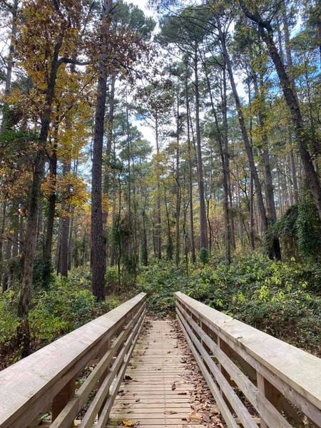 Tyler State Park Hiking Trails Bridge On The Whispering Pines Trail At Tyler State Park.