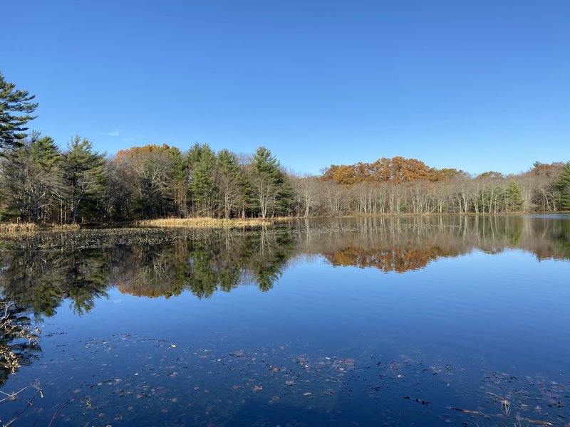 Needham Reservoir Trail Hiking Trail, Needham, Massachusetts