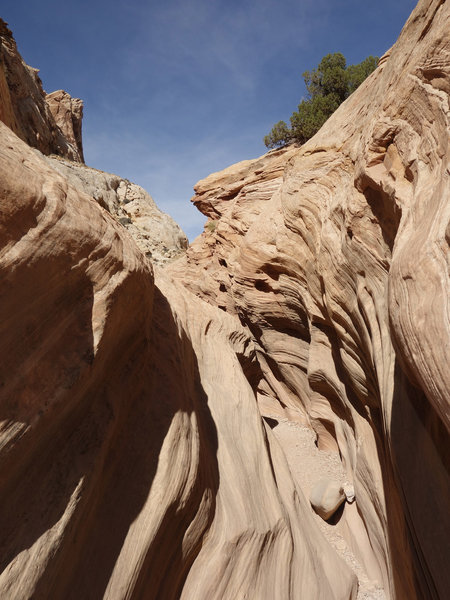 Narrow slickrock section of Bell's Canyon.