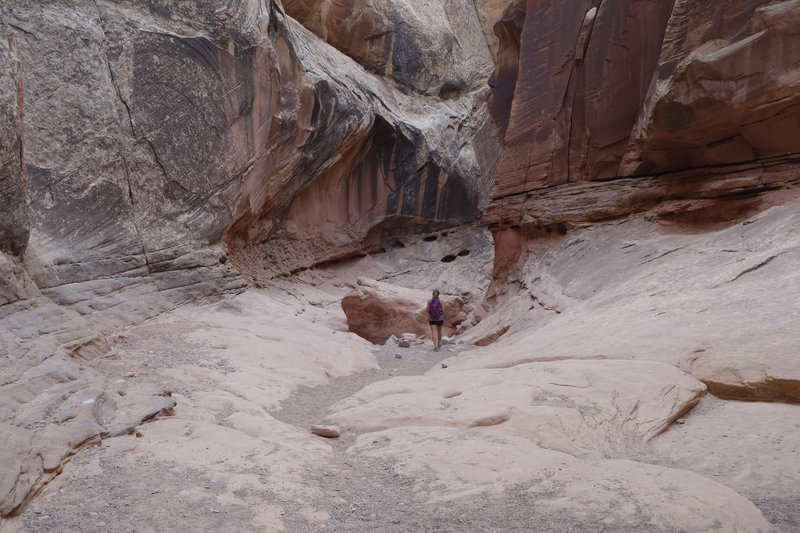 Hiker leaving a wide section of Little Wild Horse Canyon.