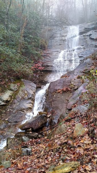 Unnamed waterfall on Rocky Branch.