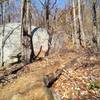 One of the many boulders visible in the fall/winter along the trail.