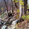 Trail through rock along Mill Creek Falls spur trail.