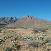 View of  Franklin Mountains from the trail.