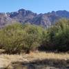 Additional view of the trail and looking east at the Catalina Mountains.