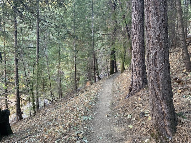 North side of trail loop