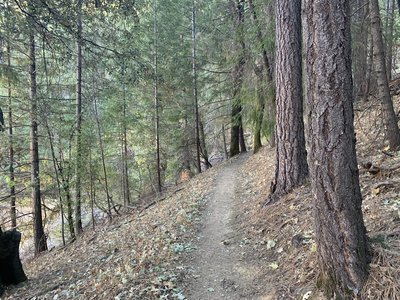 Bailey Cove Trail Hiking Trail Shasta Lake California