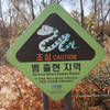 Taken along the route at Nanji Ecology Boggy Ground.
