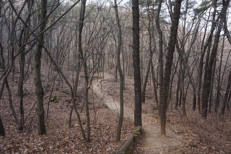 Seoul Trail at Dulle Forest