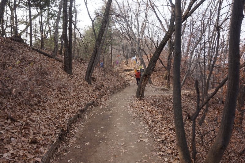 Seoul Trail on Daemosan Mountain