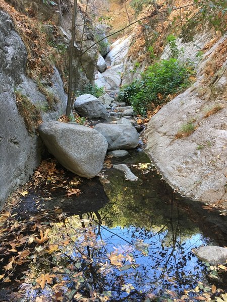 First water on Mt. Wilson Trail - Dec 9, 2020