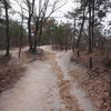 Section 8 of the Seoul Trail at Jangmi Park, taken on 10th of December 2020