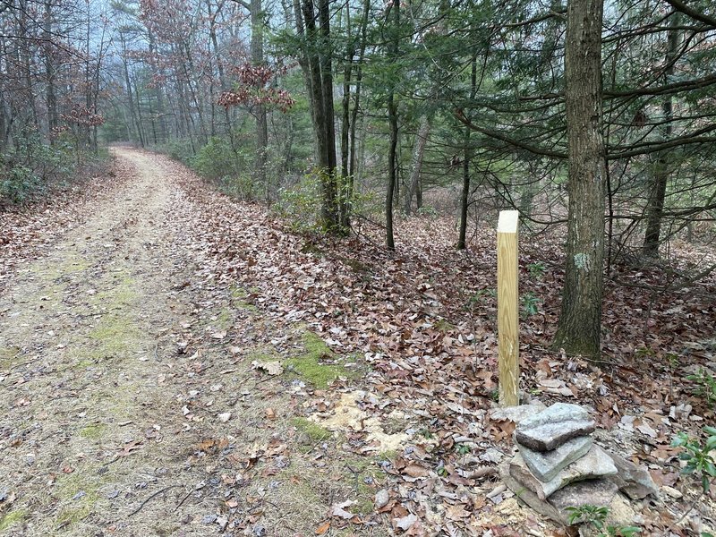 Junction - Heisley Valley Road and Culbertson Trail