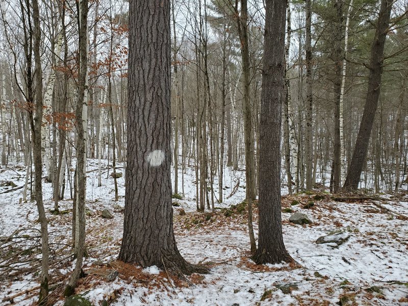 White trail marker.