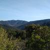 The Santa Cruz Mountains to the south, from high on Tie Camp Trail, on a clear New Year's Eve Day.