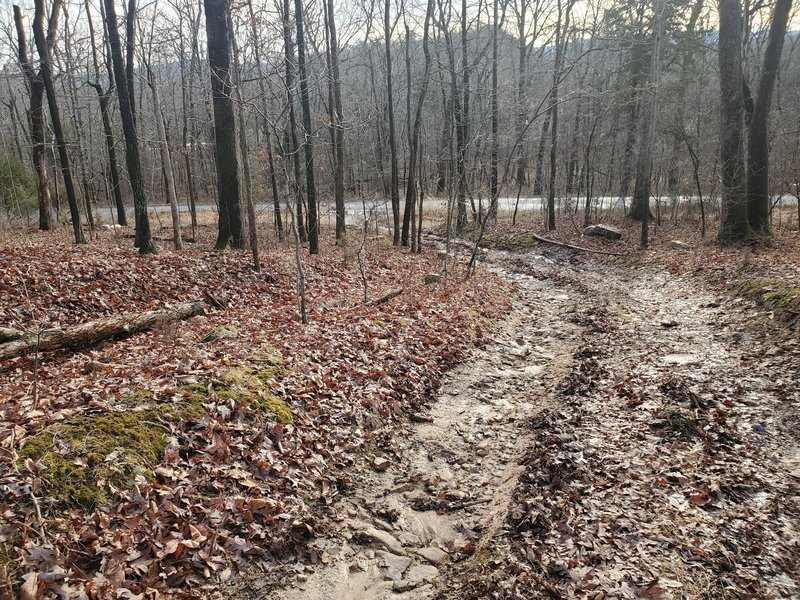 End of Sherman Gap trail to Panhandle Road.
